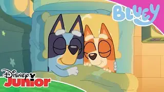💙 Sove i sin egen seng | Bluey | Disney Junior Danmark
