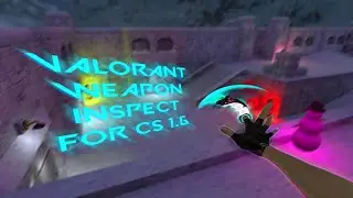 CS 1.6 VALORANT INSPECT PLUGIN
