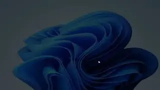 Episode 2: Install VirtualBox, VMWare Player, Firefox Browser and Putty on a clean Windows 11 Pro