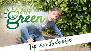 Tip van Lodewijk: Onkruid verwijderen tussen de bestrating