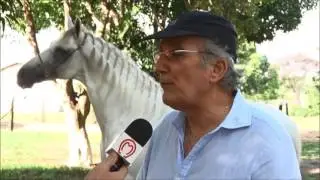 Haras Escadinha