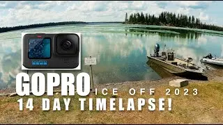 A 14 day TIMELAPSE on a GoPro!