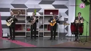 Trio Los Tecolines - Ahora y siempre | En MÉXICO CANTA... Y ENCANTA