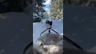 И всего в 30 км от города! 