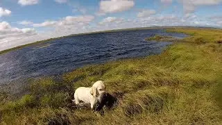 Илай