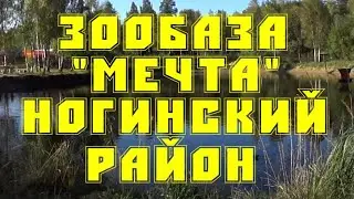 Посещение зообазы мечта в мамонтово ногинский район 2020