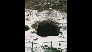 Анекдот про Ивана #short