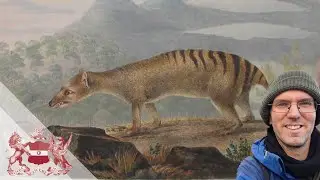 Drawn to Extinction: Depicting the Thylacine | Jack Ashby
