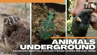 Naturalist Night | Animals Underground with Matt Sharp Chaney and Alex Jones