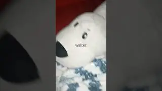 walter #funny #brazil #brazilianfunk  #memes #meme