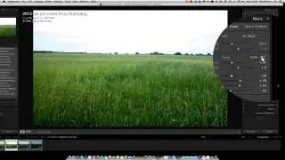 Harvesting Light: Understanding Contrast and Exposure Control