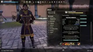 Eso Stamina Dragonknight PvP Build 