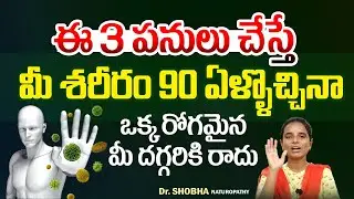 ఇలా చేస్తే 90ఏళ్లు దాటినా ఒక్క రోగం రాదు | Natural Way to Improve Immunity #boostingimmunity | Hi Tv