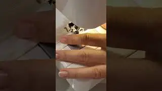 Подушка - игрушка для детей Лев "Боня"
