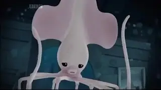The Octonauts S2E11   Octonauts And The Long Armed Squid