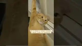Спасай давай меня 😂