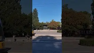 Дрезден.