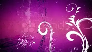 Vector Flower 5 Magenta Loop. Stock Footage
