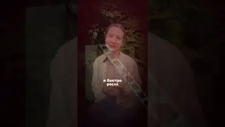 Как я увеличила свой доход в 10 раз благодаря психологии #психолог #психология #увеличитьдоход