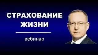 Страхование жизни как часть инвестиционного портфеля. Планы unit linked для создания капитала
