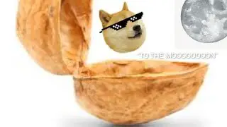 Koomee in a nutshell