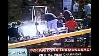 Copy of Arizona Diamondbacks 2011 NL West Champs