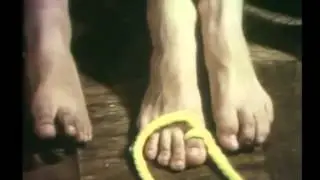 Sesame Street - T for Toes
