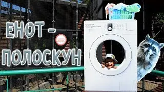 НАСТОЯЩИЕ АКУЛЫ В АКВАРИУМЕ гуляем в ЗООПАРКЕ с СЕМЬЕЙ I #ПриветКамера