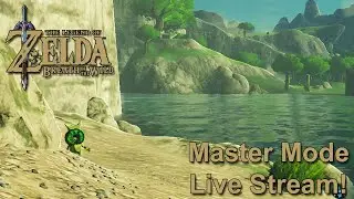 Moving Forward... The Legend of Zelda: Breath of the Wild - Master Mode Live Stream #46