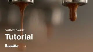 The Bambino® Plus | How to achieve the optimal extraction for the perfect espresso | Breville USA