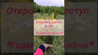 Скоро откроется чат "Гармония Жизни" Смотри комменты ссылка там #здоровье #красота#энергиямолодости