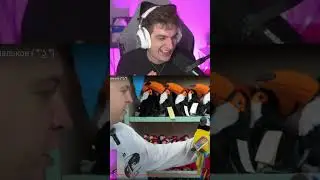 Twitch: evelone2004 #evelone