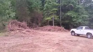 clearing land 3