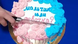 💙💜Наше Гендер пати💜💙Кого мы ждём)