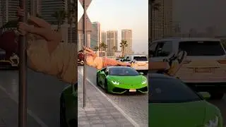 Fake or Real?! 😱 