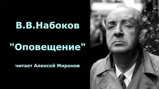В.В.Набоков 
