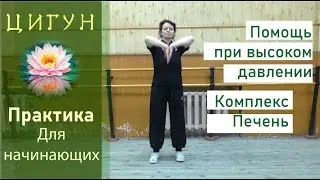 Комплекс "Печень"