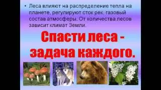 Презентация Мир глазами эколога