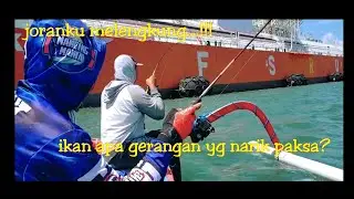 Mancing di sebelah kapal besar. Reel menjerit joran melengkung. Ikan apakah ini?