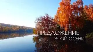 Береста