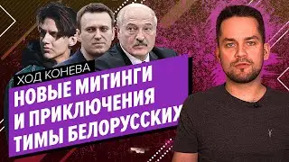 МИТИНГИ 31 ЯНВАРЯ, ПРИКЛЮЧЕНИЯ ТРАВЫ ТИМЫ БЕЛОРУССКИХ (Ход Конева)