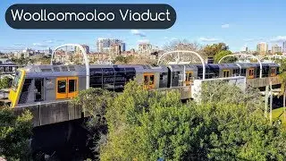 Sydney Trains Vlog 1435: Woolloomooloo Railway Viaduct