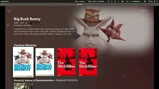 Plex: Fix duplicate continue watching entries when you have a separate 4K movie library for home use