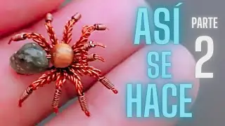 araña saltadora pequeña 2