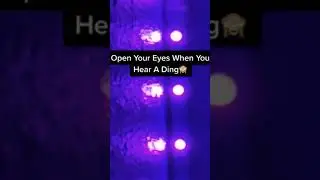 Cute videos to send to your best friend/crush ❤️