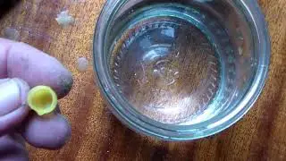 Мисочки и прививочные рамки для вывода маток.
