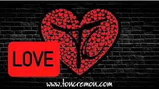 LOVE Allan Sarkis & Monika Cavalera