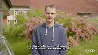 Soutien au refuge pour chats | Journée de la bonne action | 2024