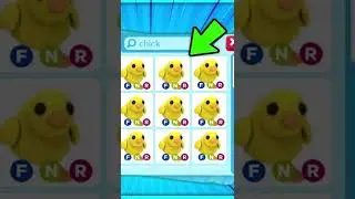 Return of the pet chicken?! 