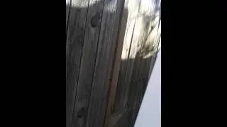 CRAZY ASS STUPID BITCH NEIGHBOR AND DOGS BULLSHIT